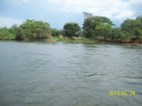 /album/galeria-de-fotos/rosy-290-jpg/